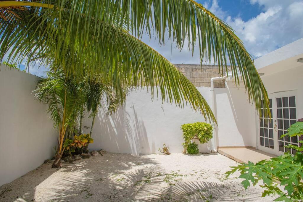 Casa Itzamna Villa Косумел Екстериор снимка